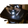 Микроскоп LEVENHUK MED 1500 LED3 73368